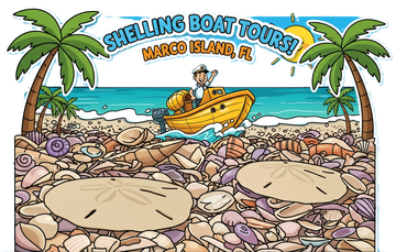 Quality Backwater Fishing and Shelling Charters on Marco Island
